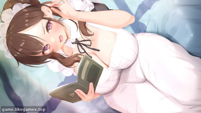 预览图2